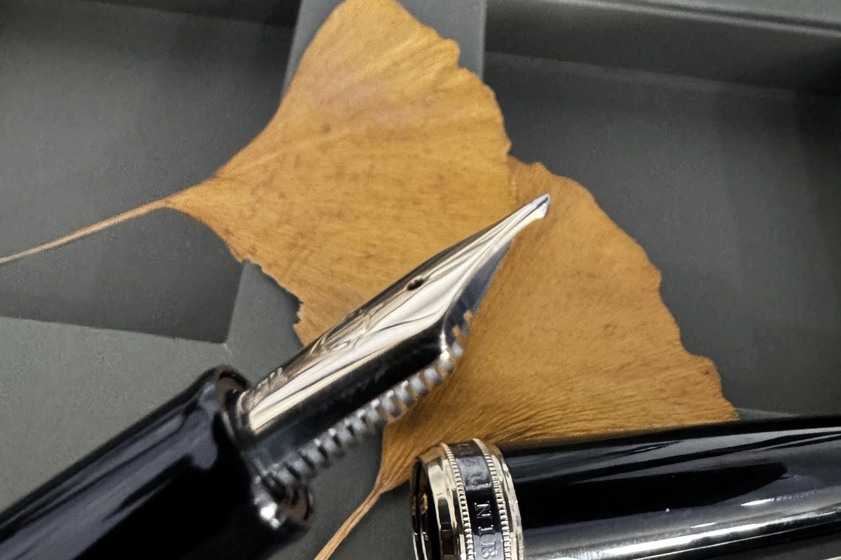 Sailor 1911 Naginata Togi Medium Fountain Pen NM