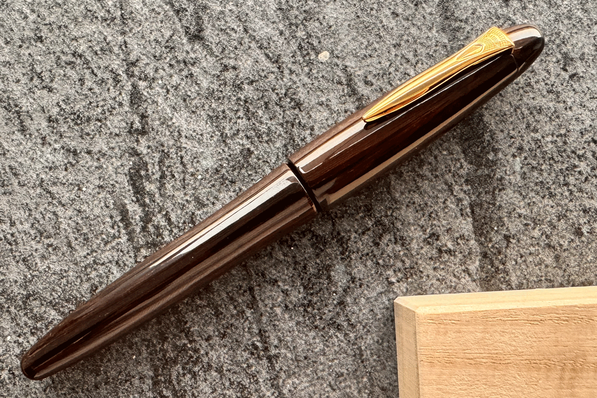 Platinum Izumo Tagayasan Gloss 18K Fountain Pen Medium Nib
