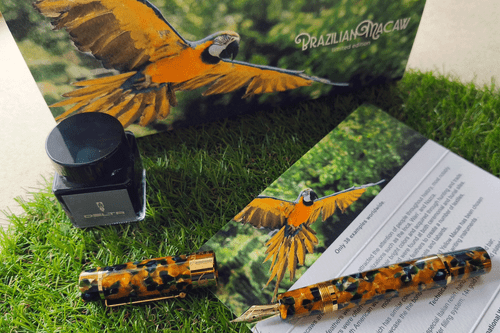 Delta Brazilian Macaw Fountain Pen L.E with Medium Nib