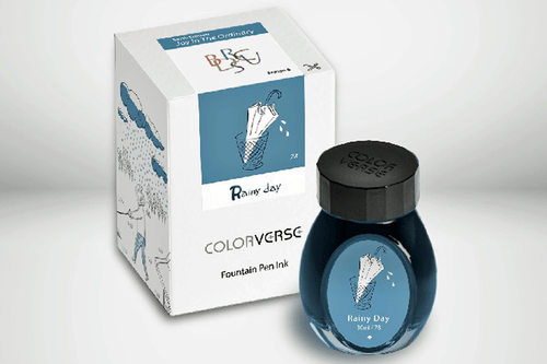 Colorverse Rainy Day Season 6 Joy In The Ordinary Fountain Pen 30ml Bottle Ink