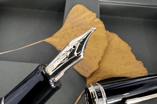 Sailor 1911 Naginata Cross Concord Nib Fountain Pen