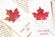 Wearingeul Leaf Maple Color Swatch Card