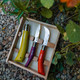 Opinel Stainless & Carbon Steel Garden Knife Trio - 3 Colors