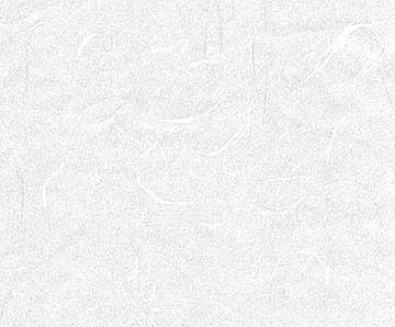 Japanese Shoji Paper