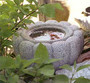 KIKU BASIN