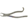Extracting Forceps 16S Pedo Lower Molars Cow Horn  surgical123
