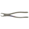 Extracting Forceps 23 1st 2nd Lower Molar Cow Horn  surgical123