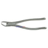 Extracting Forceps 151 Lower Anteriors Roots  surgical123
