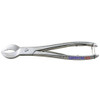 Plaster Nipper 8" Cow Horn Jaws  surgical123