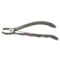 Extracting Forceps #65R Upper Molar Right - English Pattern  surgical123