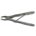 Mini Extracting Forceps E Pedo Upper Front English Pattern surgical123