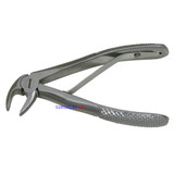 Dental Forceps