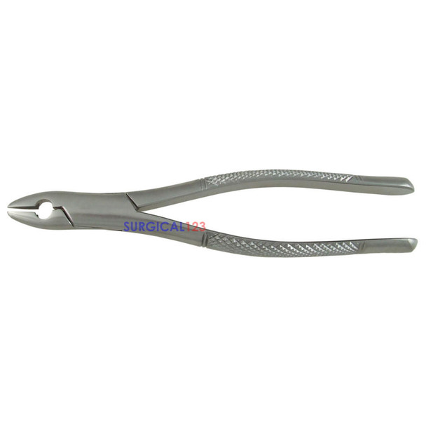 Extracting Forceps 1STD Upper Incisors and Cuspids  surgical123