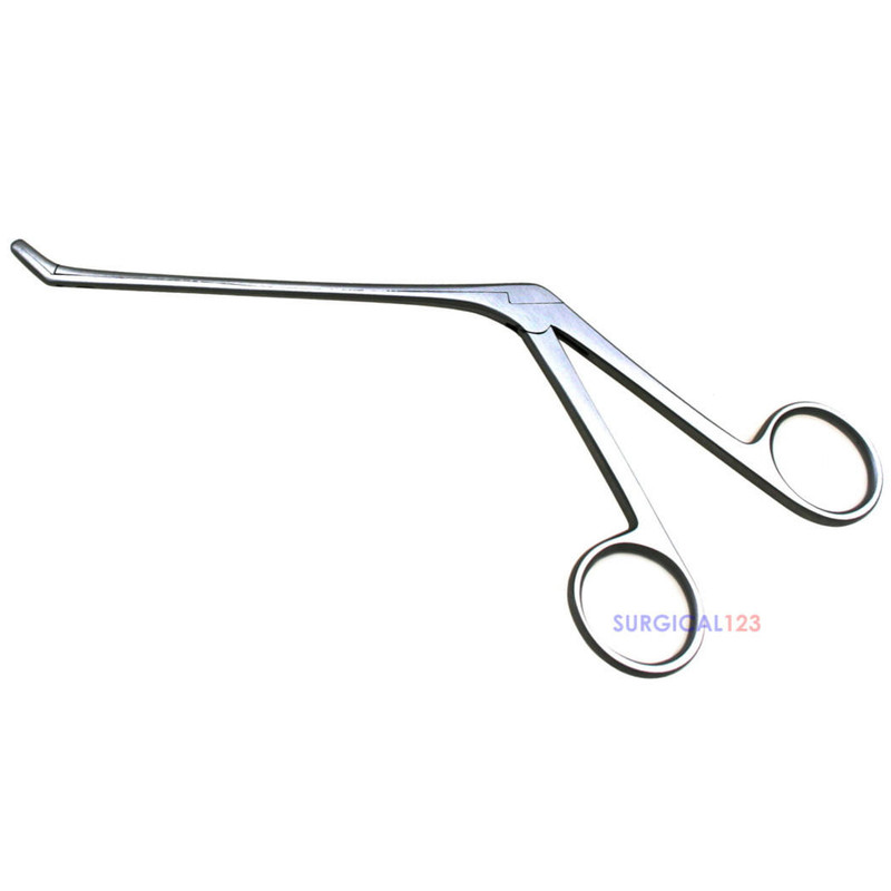 Sindrome Di Cushing - ANIPI Regione Puglia - Foto 8