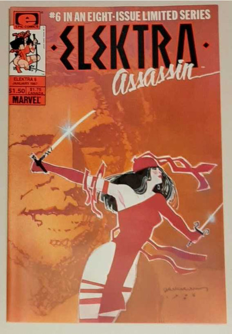 Elektra Assassin 6