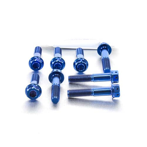 Titanium Front Caliper Pinch Bolt Kit DualDrive | Pro-Bolt