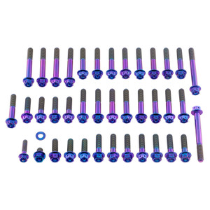 Titanium Engine Kit BMW S1000RR Race Spec Purple Haze
