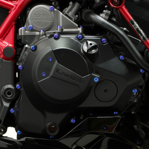 Titanium Engine Kit Kawasaki Ninja H2 Flanged Hex Head Bolt Purple Haze Fitted Titanium Engine Kit Kawasaki Ninja H2 Flanged Hex Head Bolt Purple Haze Fitted