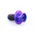 Titanium Flanged Hex Head Bolt M6x(1.00mm)x10mm Race Spec Purple Haze