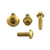 Aluminium Reservoir Mount Bolt Kit Front & Rear Brake Gold