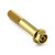 Stainless Steel Flanged Hex Head Bolt M10x(1.25mm)x57mm Gold