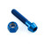 Titanium Reservoir Mount Bolt Kit Rear Brake Blue