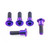 Titanium Disc Bolt To Fit Triumph/KTM M8x30mm Pack x5 Purple Haze
