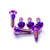 Titanium Disc Bolt To Fit Triumph/KTM M8x30mm Pack x6 Purple Haze