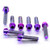 Titanium Clip-On / Handle Bar Mount Bolt Kit Purple Haze