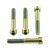 Titanium Front Brake Radial Caliper Mount Bolt Kit M10x(1.25mm)x70mm Torx Drive Gold