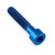 Titanium Top Cap Bolt Kit M6x(1.00mm)x30mm Parallel Head Socket Cap Blue