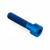 Titanium Parallel Socket Cap M8x(1.25mm)x35mm Blue