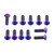 Titanium Front Disc Bolts M8x(1.25mm)x25mm to Fit BMW forged wheel/Other Pack x12 Purple Haze