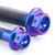 Titanium Disc Bolt M6x(1.00mm)x12mm Race Spec Rear Pack x6