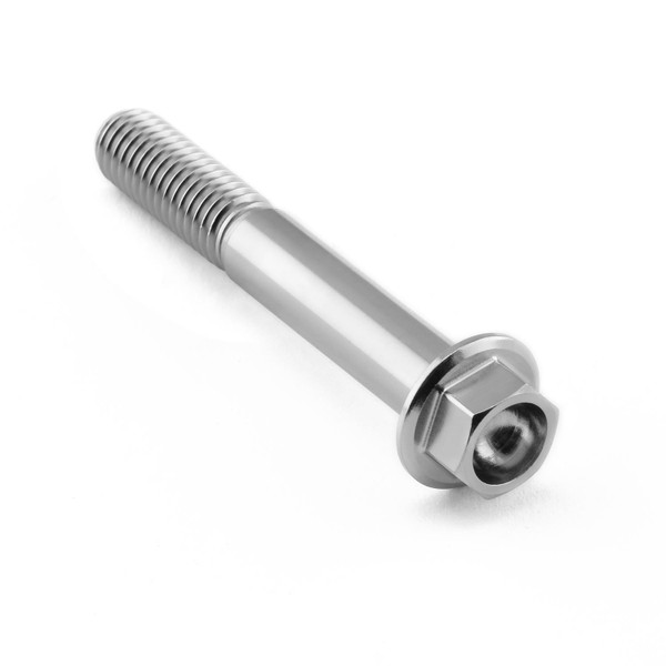 Stainless Steel Flanged Hex Head Bolt M8x(1.25mm)x55mm