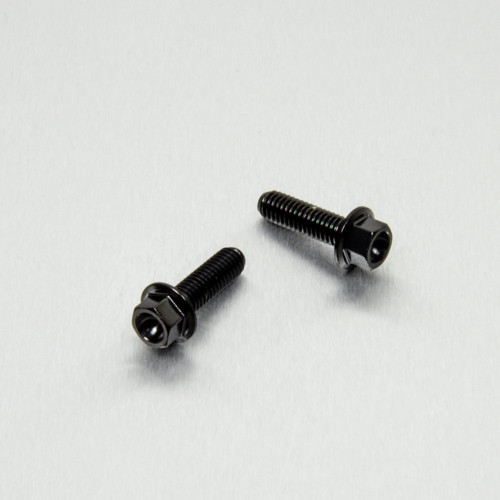 Stainless Steel Rear Brake Master Cylinder Bolts Hex Black