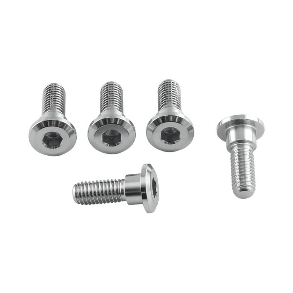 Stainless Steel Disc Bolt To Fit Honda M8x24mm Pack x5