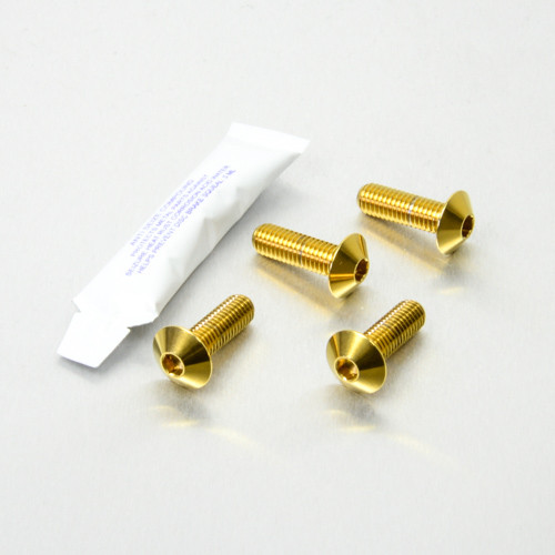 Stainless Steel Pillion Footrest Hanger Bolt Kit Gold