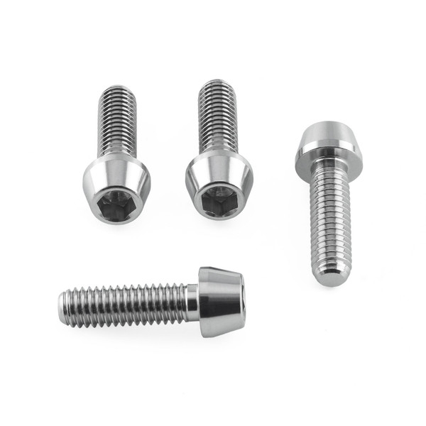 Stainless Steel Swingarm Nut Cover Kit L&R