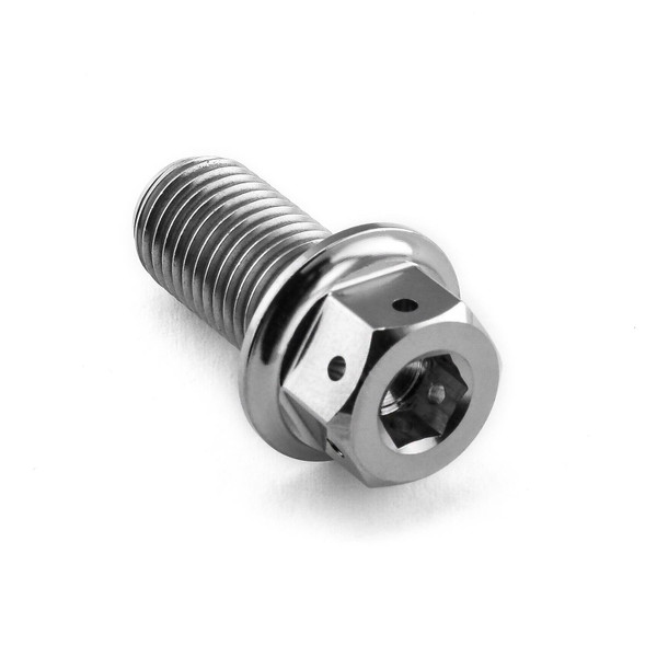 Titanium DualDrive Bolt M10x(1.25mm)x20mm Race Spec