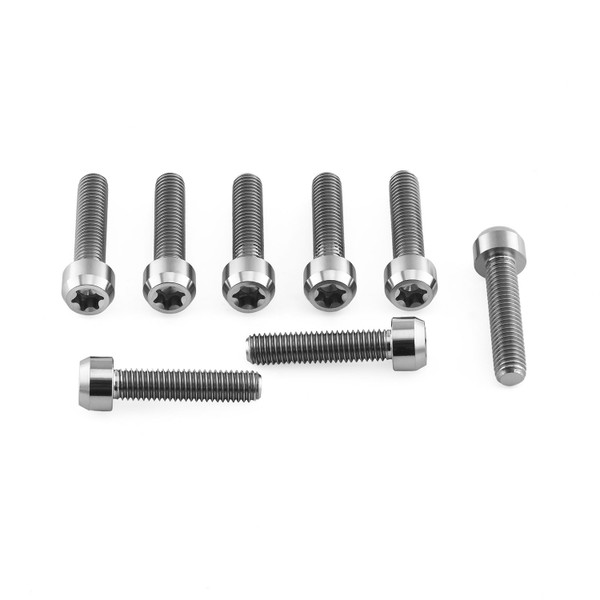 Titanium Front Caliper Pinch Bolt Kit Torx Drive