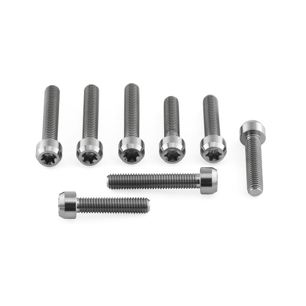 Titanium Front Caliper Pinch Bolt Kit Torx Drive