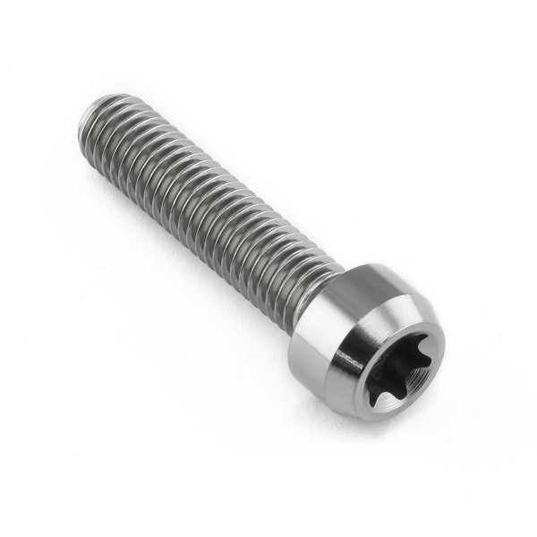 Titanium Cylindrical Head Torx Drive Bolt M8x(1.25mm)x35mm T45