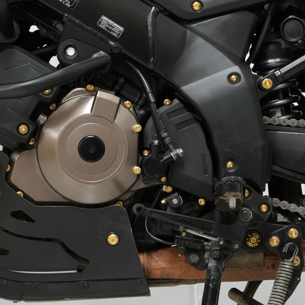 Stainless Steel Engine Kit Suzuki DL1050 V-Strom Flanged Hex Gold Fitted