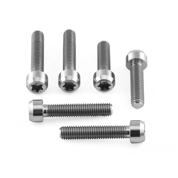 Titanium Top & Bottom Clamp Yoke Pinch Kit Torx Drive