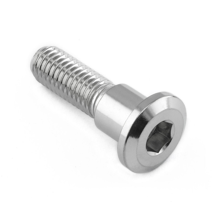 Stainless Steel Disc Bolt To Fit Triumph/KTM M8x30mm