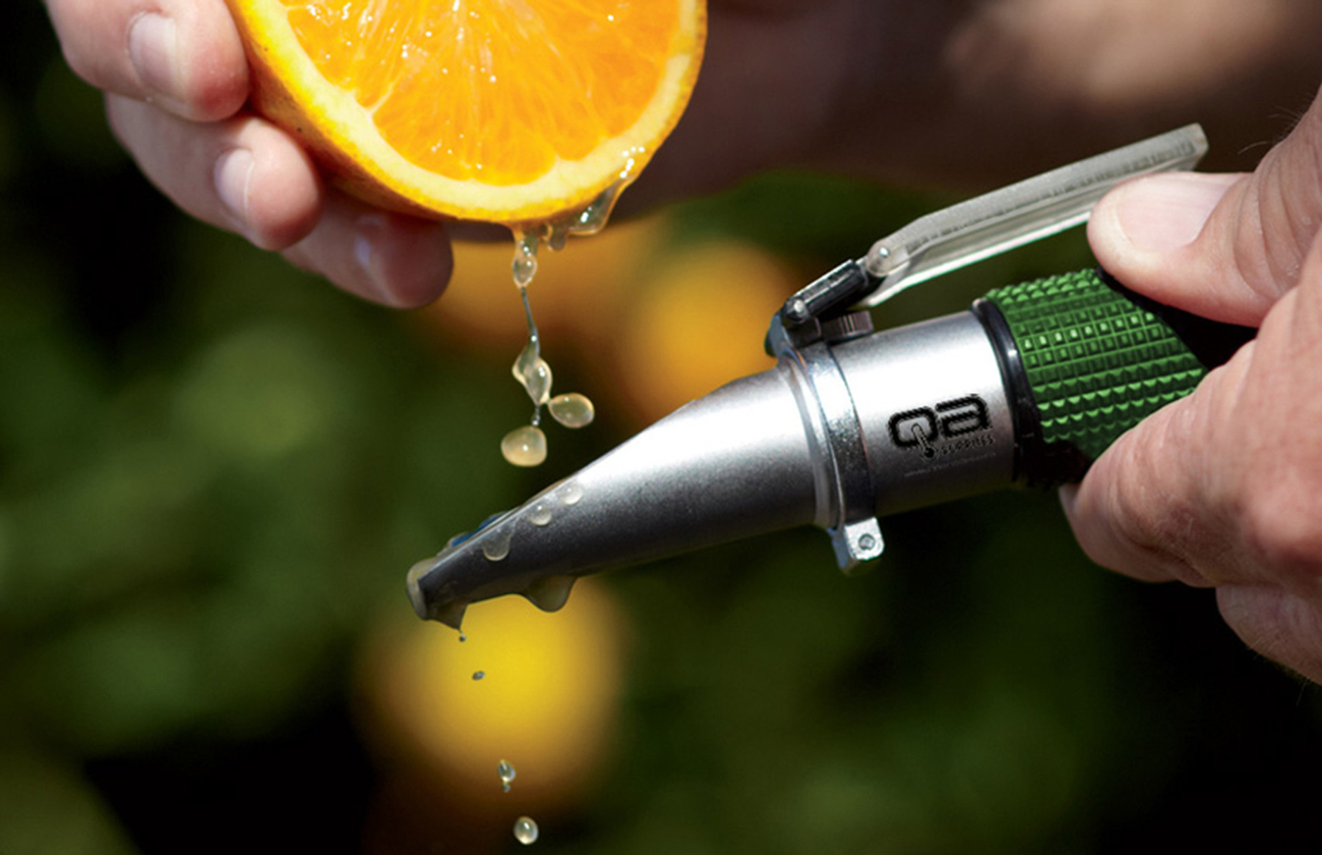 Brix Levels Are Crucial to the Fresh Fruit Industry Fresh Produce