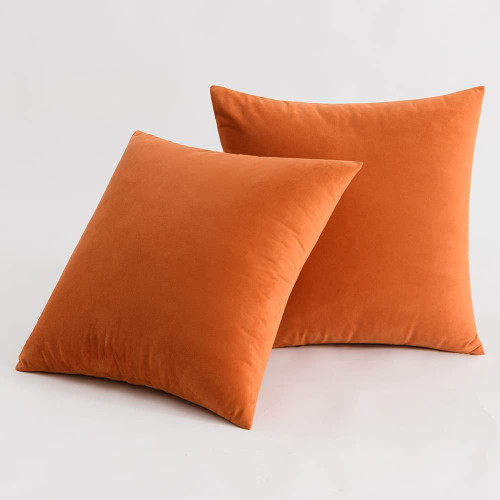 Set of 2 Cushions with Velvet Covers Included - 45x45 cm