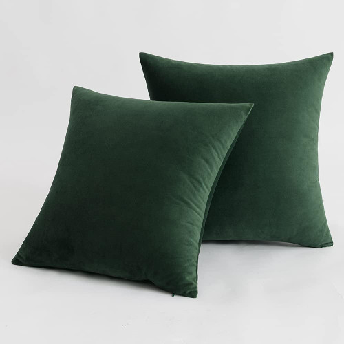 Set of 2 Cushions with Velvet Covers Included - 45x45 cm