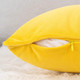 Set of 2 Cushions with Piped Velvet Covers Included - 45x45 cm